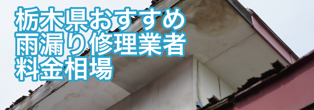 栃木雨漏り修理業者ランキング