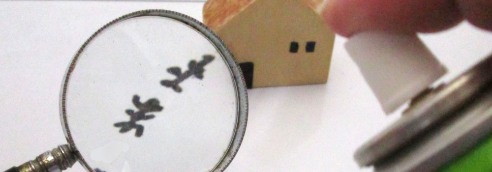 富士宮市シロアリ駆除まとめ