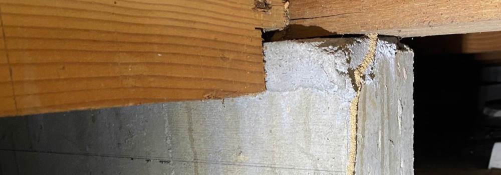 シロアリ要注意のサイン