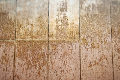 床鳴りしたり床下の通気が悪い