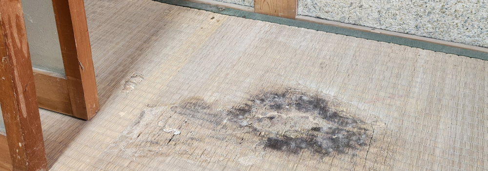 シロアリ要注意のサイン