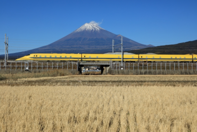 富士市内の会社または近隣の会社か