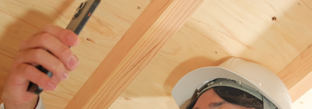 富士市でシロアリ駆除業者を選ぶ3つのポイント