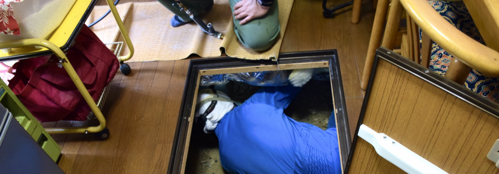 富士市のシロアリ駆除の料金相場